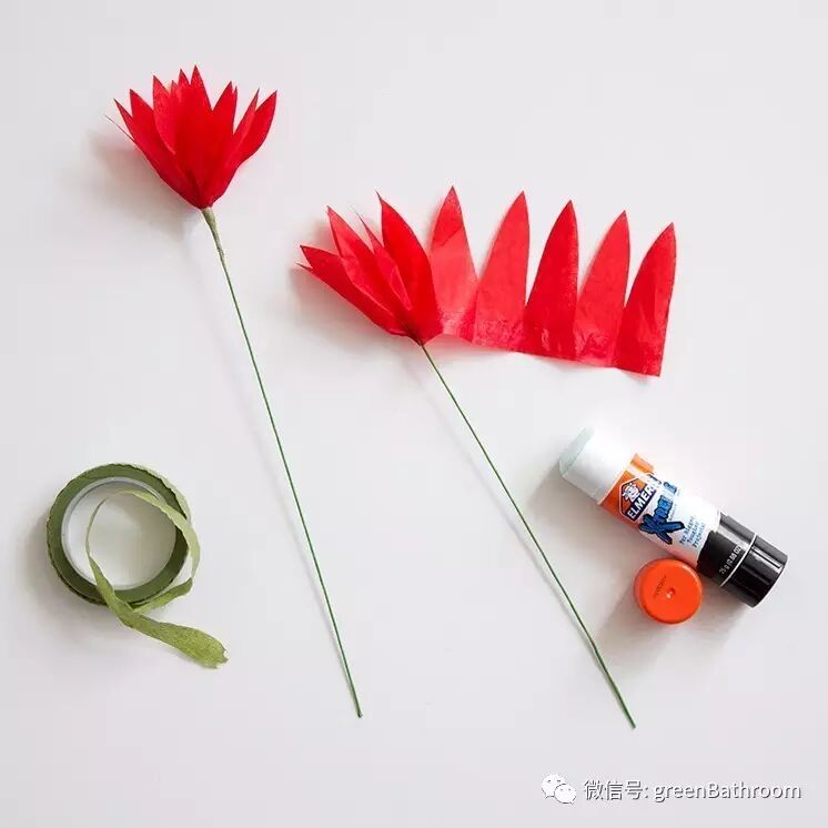 聖誕節 讓我們一起做一盆手作仙人掌 暖澡堂自然研究所 微文庫