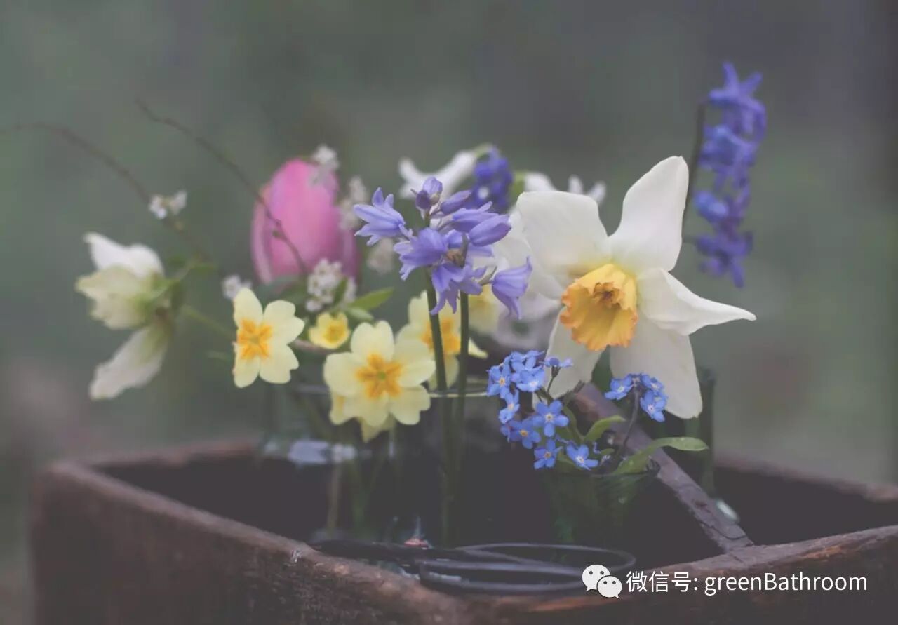 救命 遇到了不知該如何形容的美 尋花 暖澡堂自然研究所 微文庫