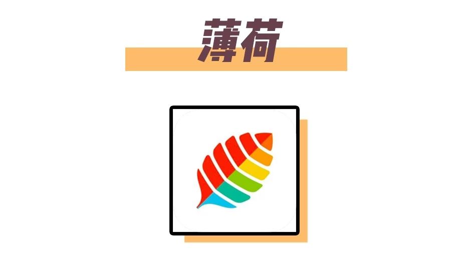 实习 | 8款超实用的宝藏APP，在家也能提升自己！