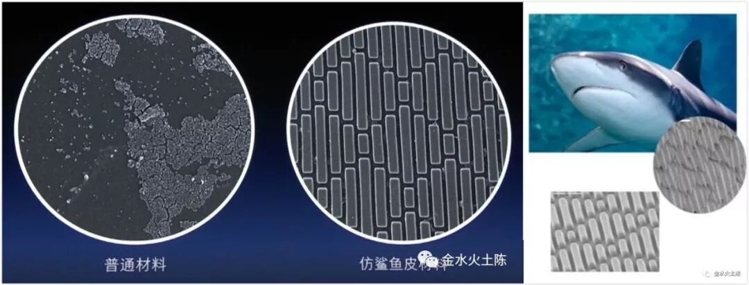 可通过表面纹理结构来抑制细菌污染,灵感来自于鲨鱼