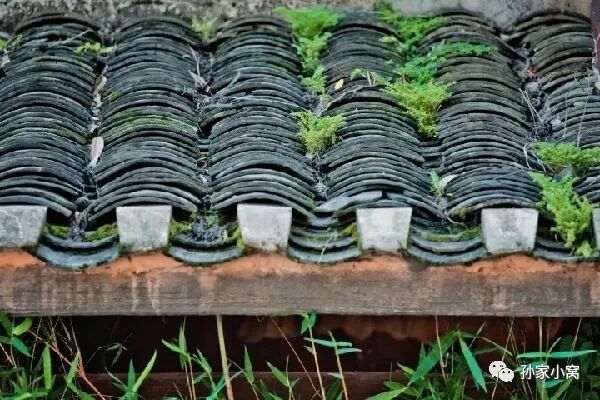 一片瓦,落入我的心湖,漾起了涟漪.