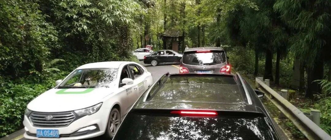 导航定位错误致拥堵，四川景区建议别用高德地图 高德回应