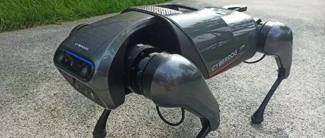 大公司怎么都开始“造狗”了？