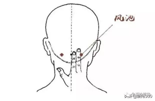 耳鸣时会伴有头痛 眩晕等 这3个穴位缓解你的耳鸣之痛 生活妙招趣 微信公众号文章阅读 Wemp