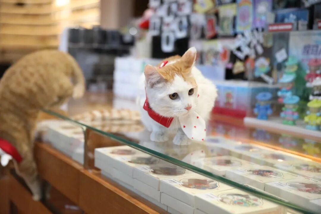 五一参观指南 | 内蒙古美术馆：好戏连连，艺趣不停 第21张