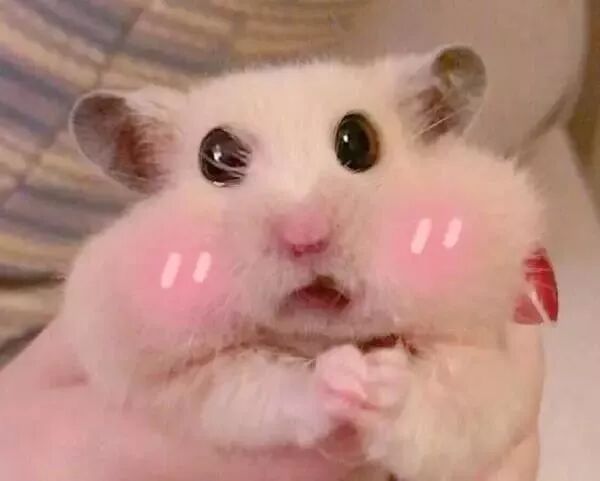 为什么说朋友圈有个口腔医生非常重要？