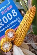 蓝海新农农业集团有限公司亮相2024中国新疆昌吉种子展示交易会