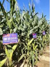 蓝海新农农业集团有限公司亮相2024中国新疆昌吉种子展示交易会