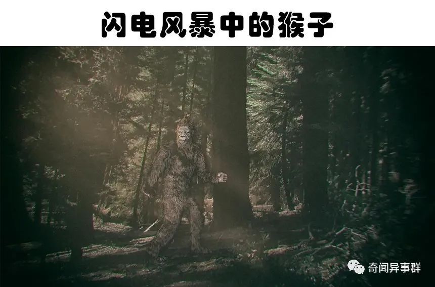 在世界各地，传闻被发现的5个奇怪生物