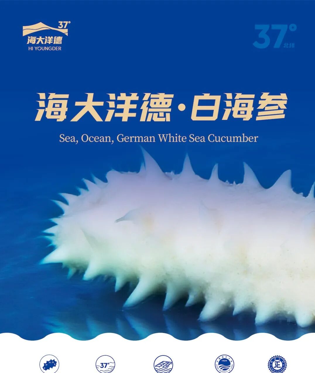 8df9b22b-9afb-481f-be45-8e8459abce24.png