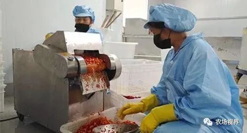 碎木加工创业项目 返乡创业：几个适合小资金在农村建厂的加工项目