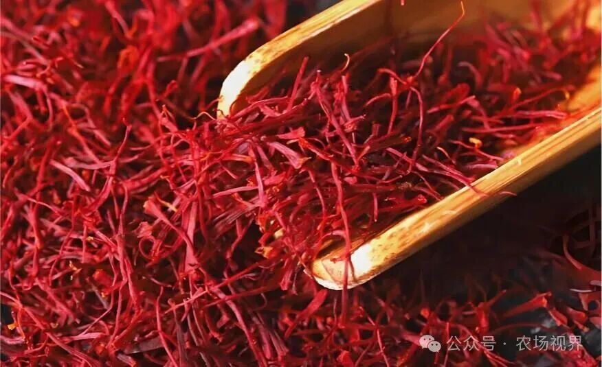 年终利好，这些中药材又涨价了