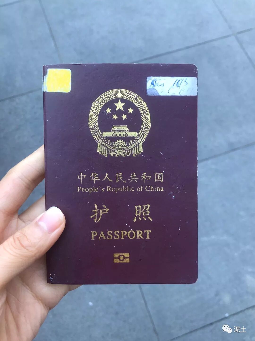 美洲大蠊_为什么说美洲是新大陆_美洲大陆