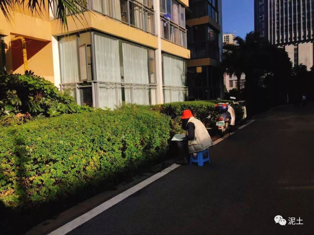 美洲大陆_美洲大蠊_为什么说美洲是新大陆