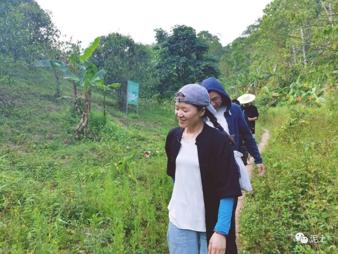 美洲大陆_为什么说美洲是新大陆_美洲大蠊