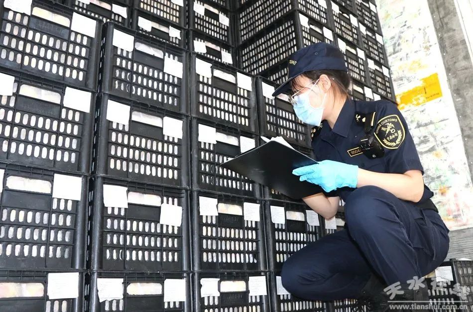 跨境电商新加坡物流(跨境电商物流开题报告)