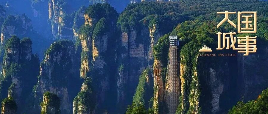 “国际张”，重逢有时