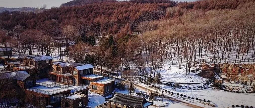 东征朝鲜、西战天山！他何以凭一人之力屡次逆转战局？