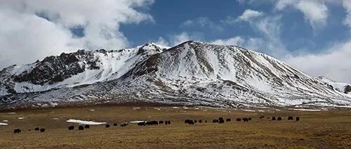 不退！孤军进驻藏北无人区，主席连呼三遍“盖世英雄”，这支队伍经历过什么？
