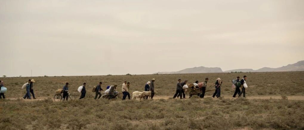 西海固，为啥喊了一年又一年？