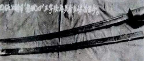 雪枫刀向鬼子头上砍去，10分钟斩落300余人！