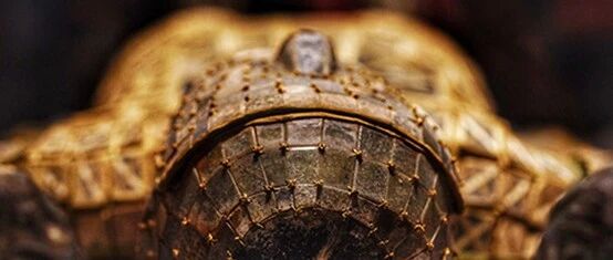 “毁”人不倦，为什么斗了2000年还要斗？