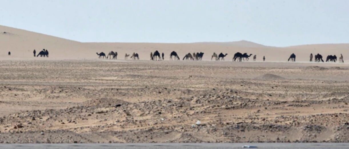 斗了1000多天，这对冤家真能“一笑泯恩仇”？