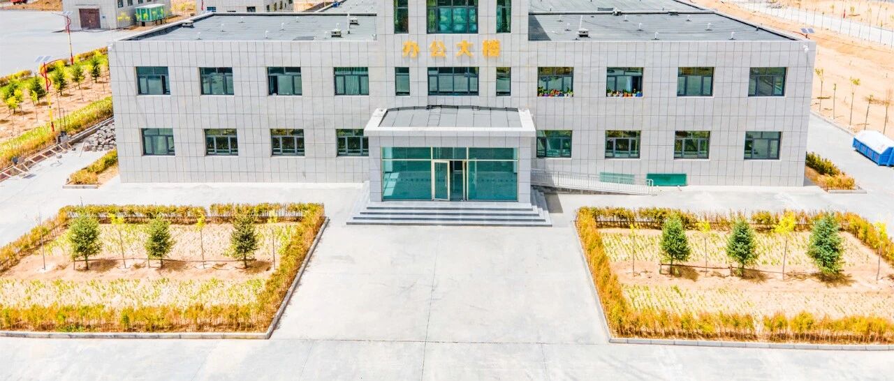 扎根西藏，他如何用牦牛藏羊“守护”祖国边境线