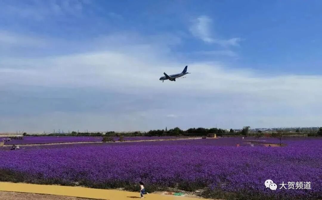 兰州新区移民多少人_甘肃多地计划向兰州新区移民_兰州有哪些区县