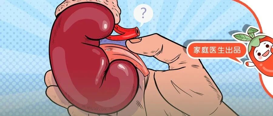 天冷最该吃3种“养肾早餐”，肾强人不虚、一整天精神满满！别浪费最后的补肾机会