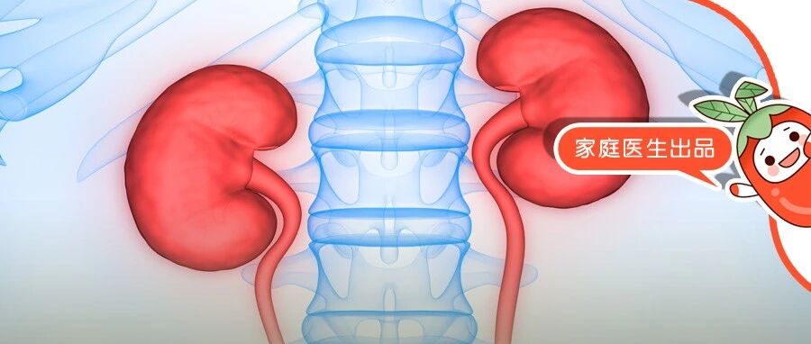 肾有“3怕”要戒掉，养肾抓住“晨起黄金5分钟”！否则肾越养越差，迟早烂成渣