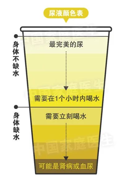 喝水後有5個表現，是肝腎在求救！其中2個是癌的信號，別以為只是小毛病 健康 第16張