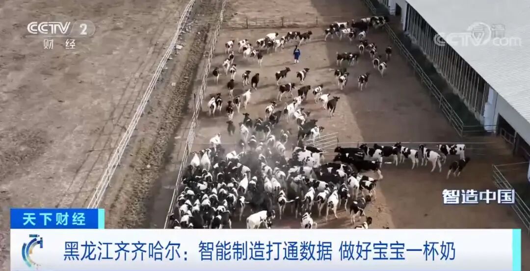 2022央视曝光奶粉飞鹤_飞鹤奶粉曝光2021_2020飞鹤奶粉事件