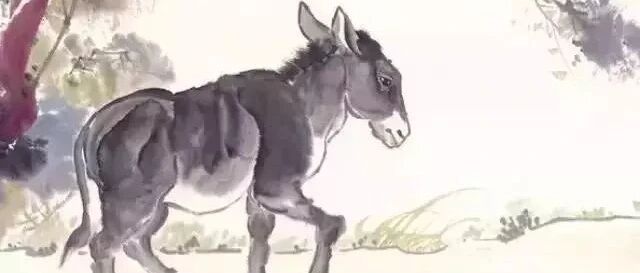 驴又冤死了，最近又火了