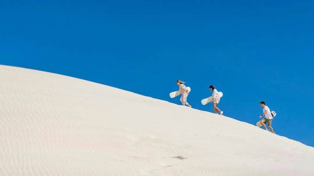 Lancelin 4WD Sand Dune Adventure with Australian Pinnacle Tours, Perth