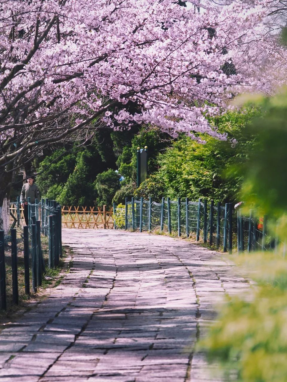 中國幸福感最高的城市，不輸瑞士德國，好想在這裡養老 旅遊 第8張