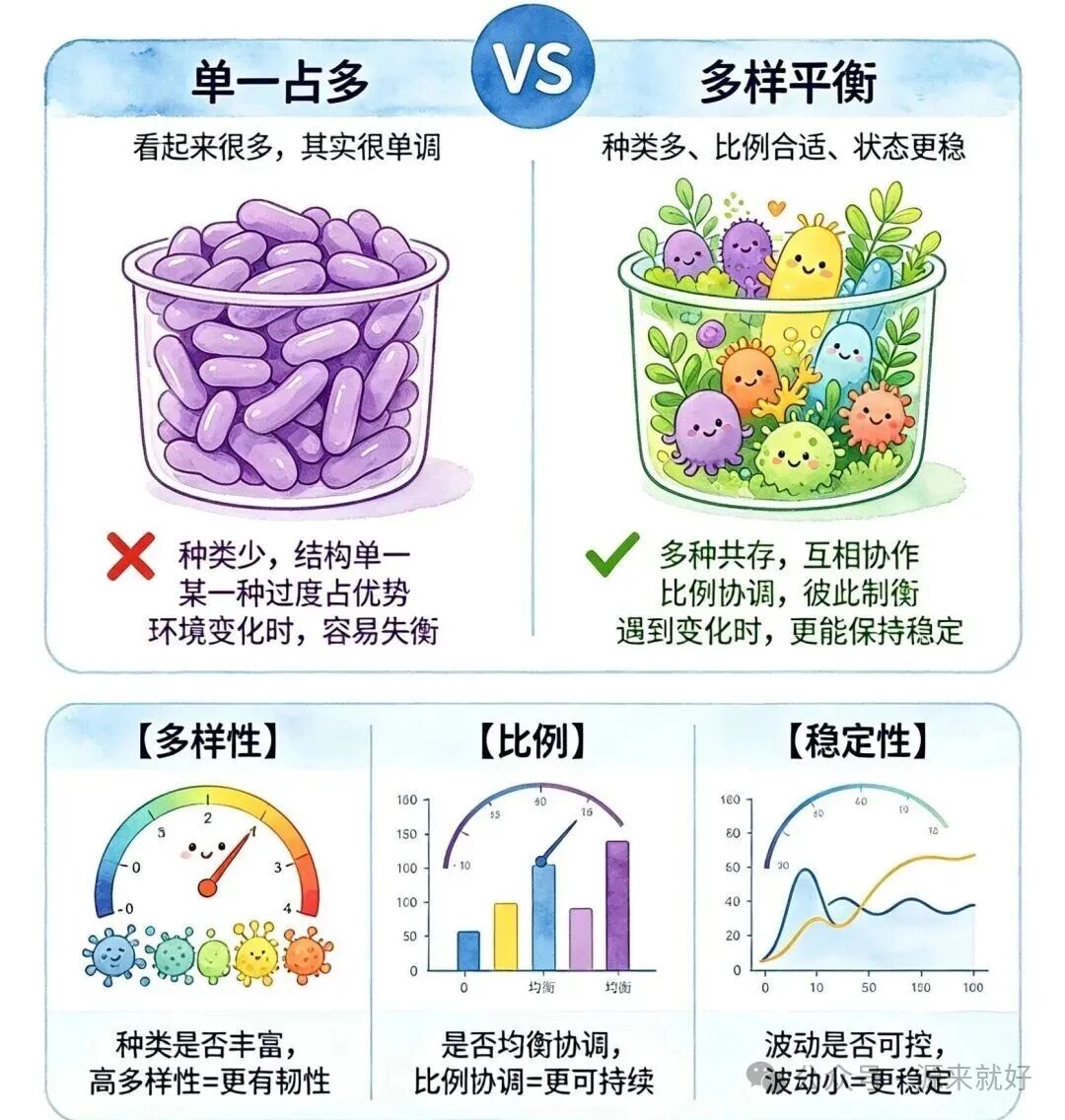 抗生素后别乱补益生菌！Nature重磅：盲目补菌，反而阻碍肠道自愈 - 第6张  | 中药养生知识-中草药的功效与作用