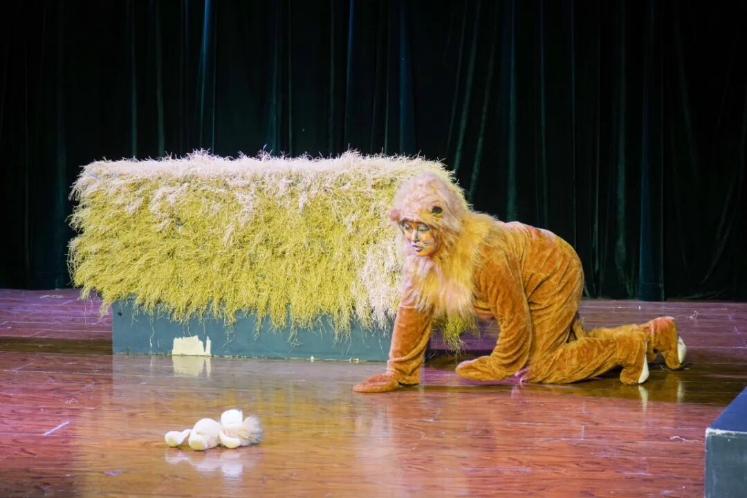 640_wx_fmt=jpeg&from=appmsg&tp=webp&wxfrom=5&wx_lazy=1 (20).JPG