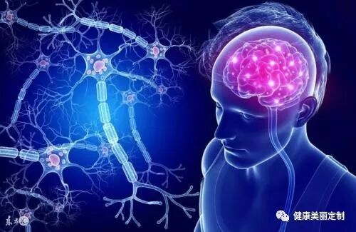HGH人体生长素对大脑各种功能的作用