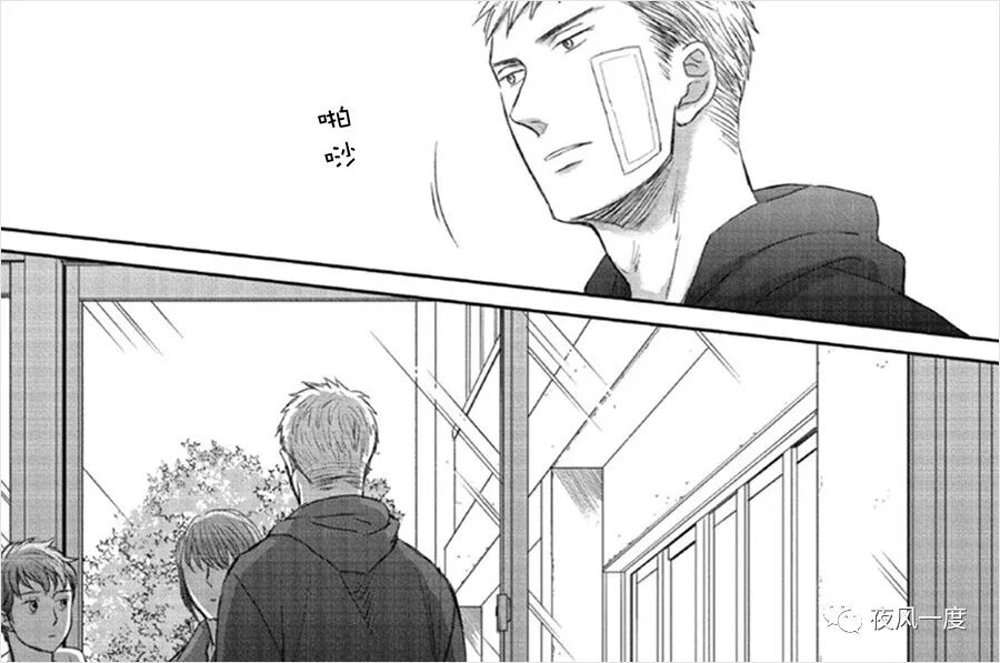 鸣鸟不飞 35 5话评 夜风一度 微信公众号文章阅读 Wemp