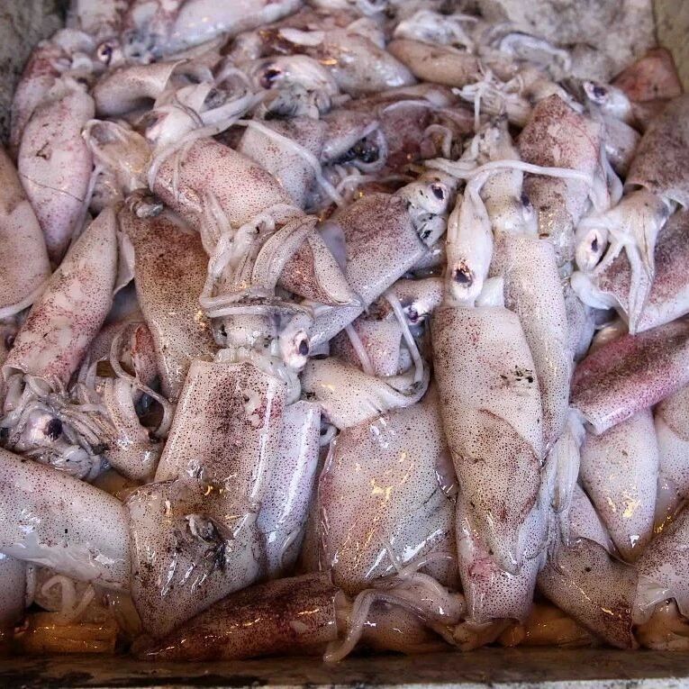 发现1份进口鱿鱼须外包装新冠核酸检测阳性