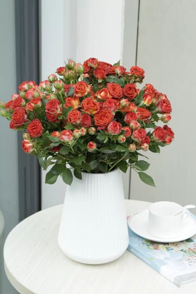 气候与市场双重考验，鲜花艰难“过冬”，优胜劣汰趋势明显！