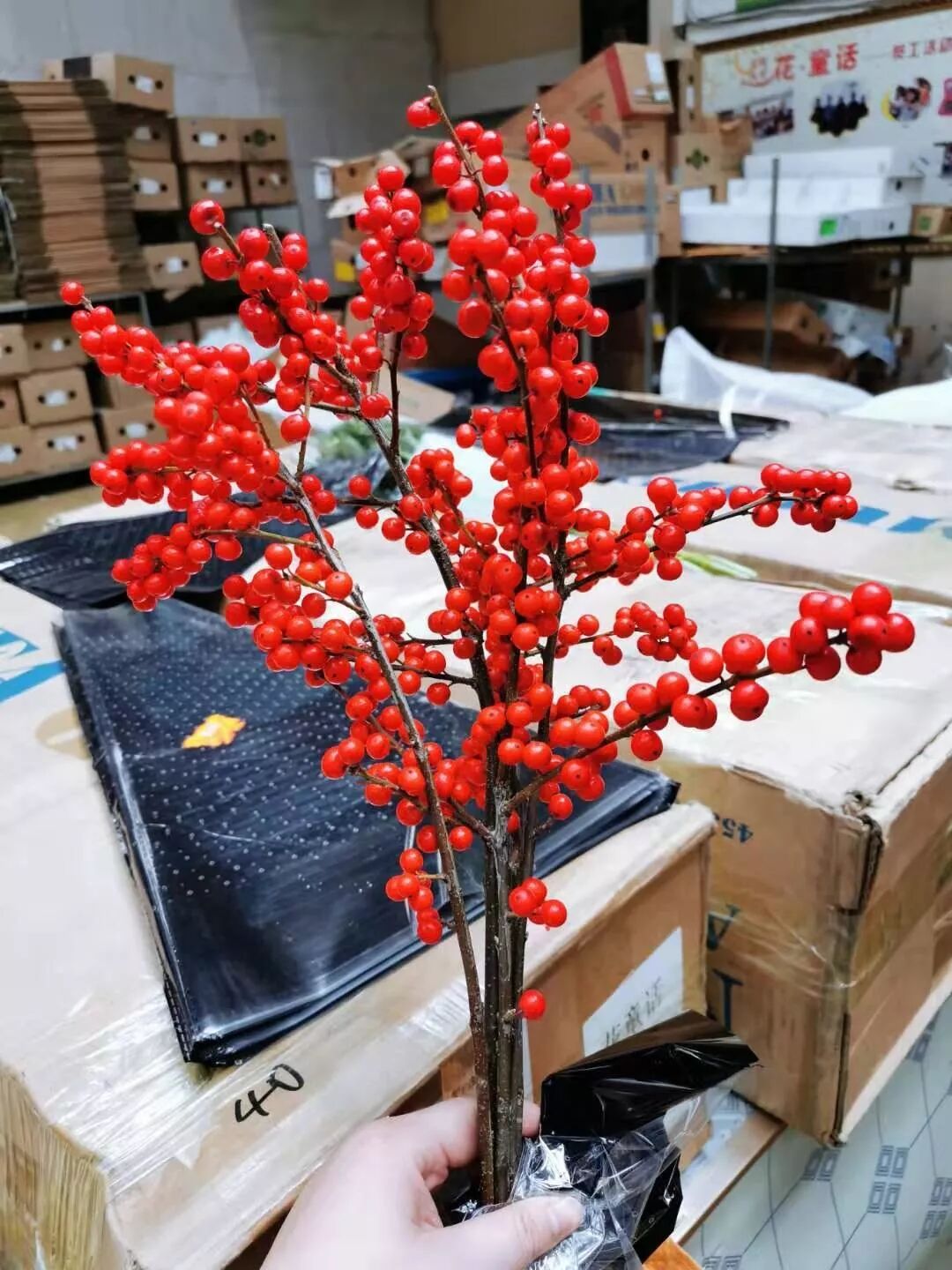 气候与市场双重考验，鲜花艰难“过冬”，优胜劣汰趋势明显！