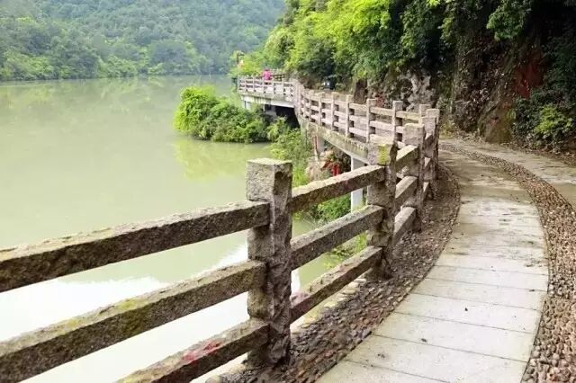 【恭喜】建德绿道,之江民宿荣获省级年度最美绿道和精品民宿称号!