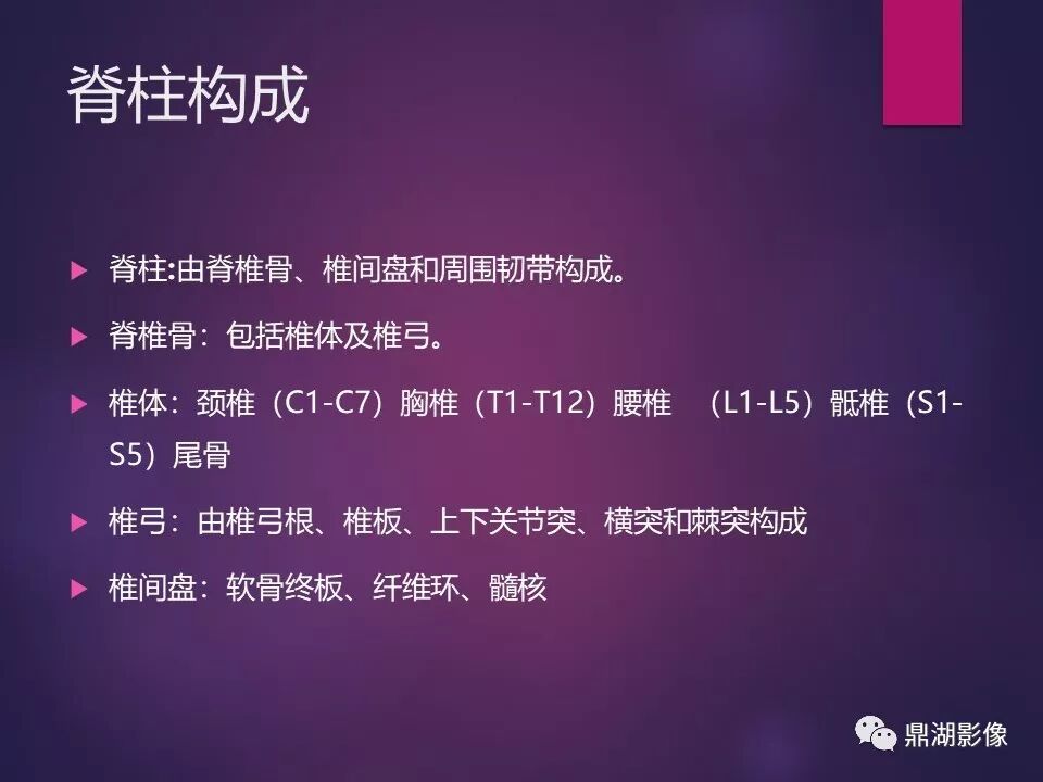 全身骨肌系统正常影像解剖（高清图谱）