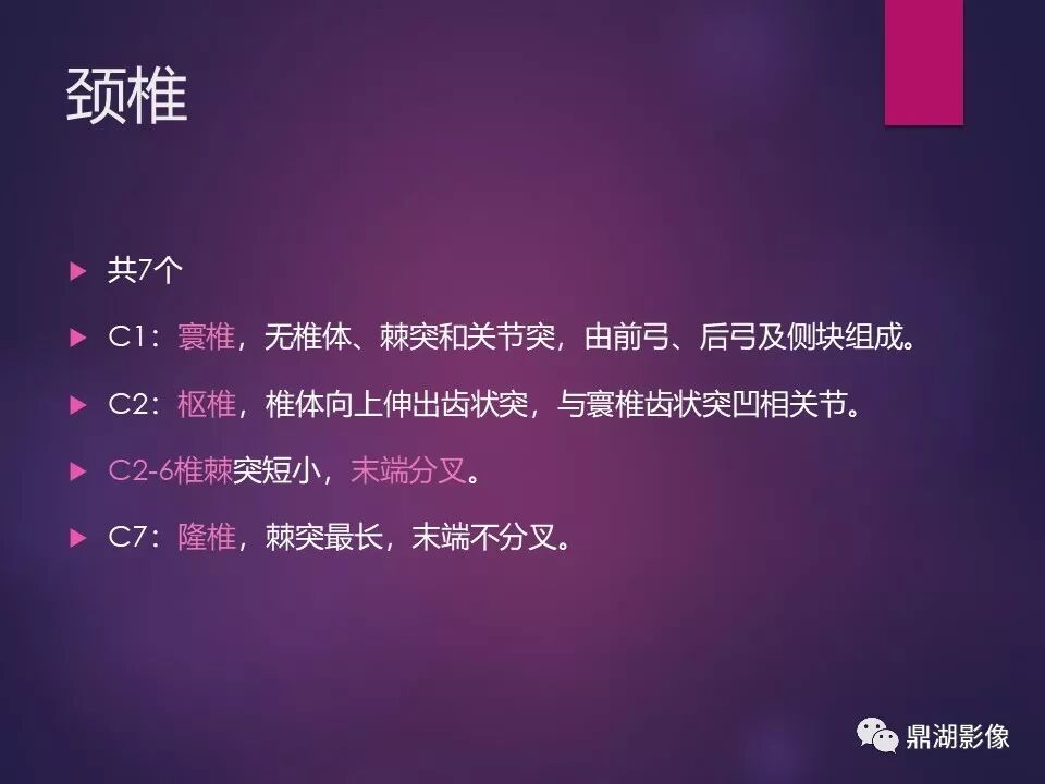 全身骨肌系统正常影像解剖（高清图谱）