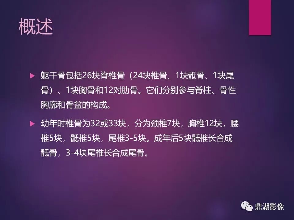 全身骨肌系统正常影像解剖（高清图谱）