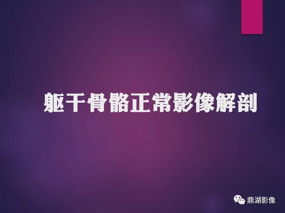 全身骨肌系统正常影像解剖（高清图谱）