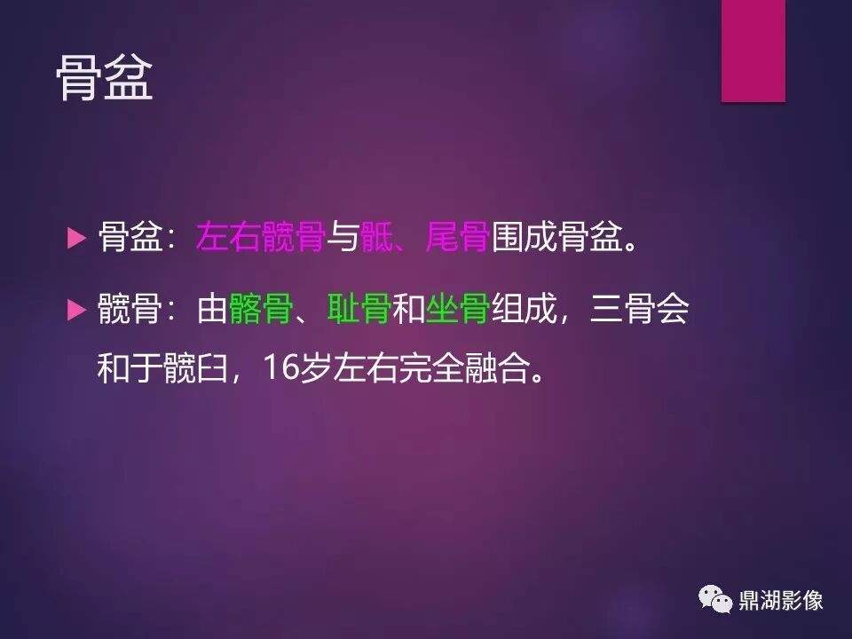 全身骨肌系统正常影像解剖（高清图谱）