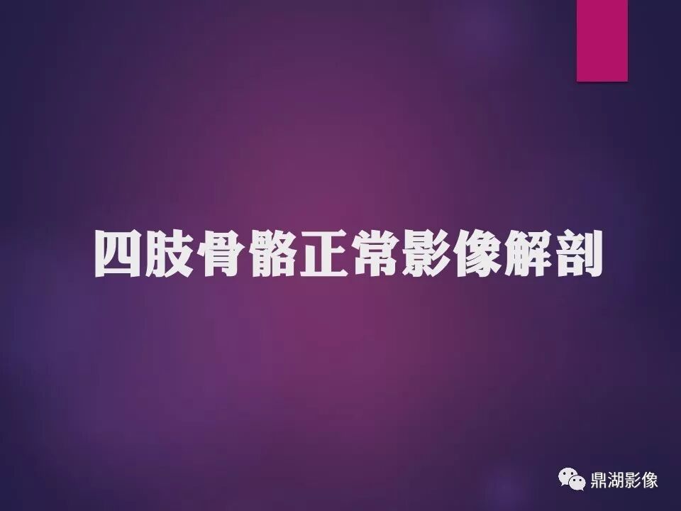 全身骨肌系统正常影像解剖（高清图谱）